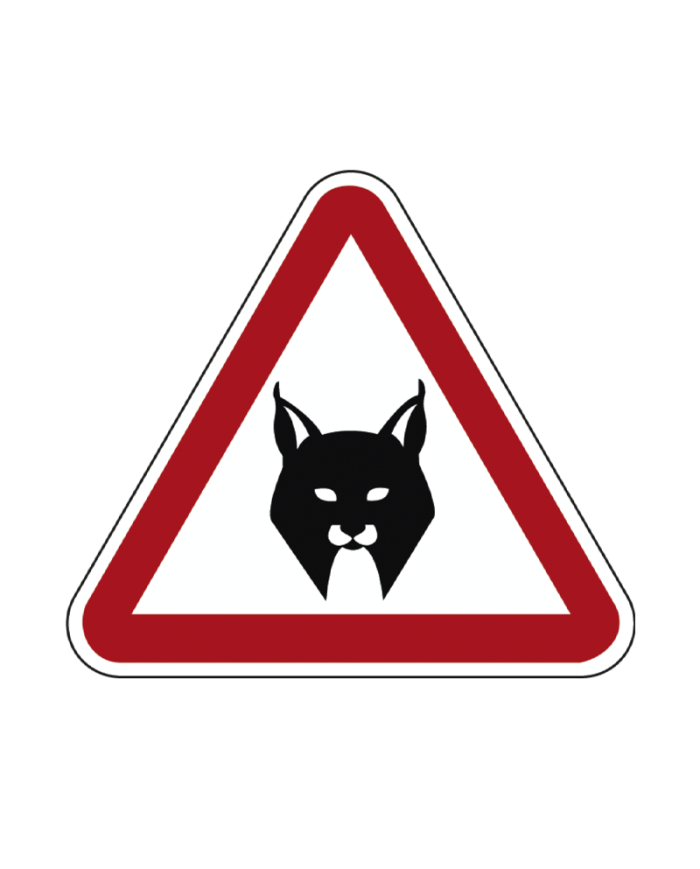 A19C - Linces Ibéricos Sinalização Rodoviária 