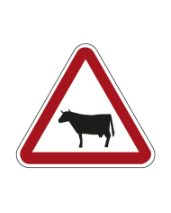 A18 - Cavaleiros Sinalização Rodoviária 