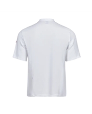 Jaleca Cozinha MC Microfibra Aventais, Jalecas e Túnicas 8434455557185 