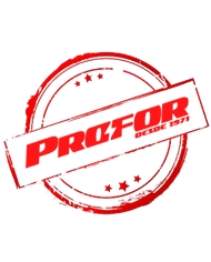 Óculos de Proteção QX200 Transparentes Óculos 4046719420544 